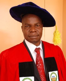 Prof. Temi OLOGUNORISA